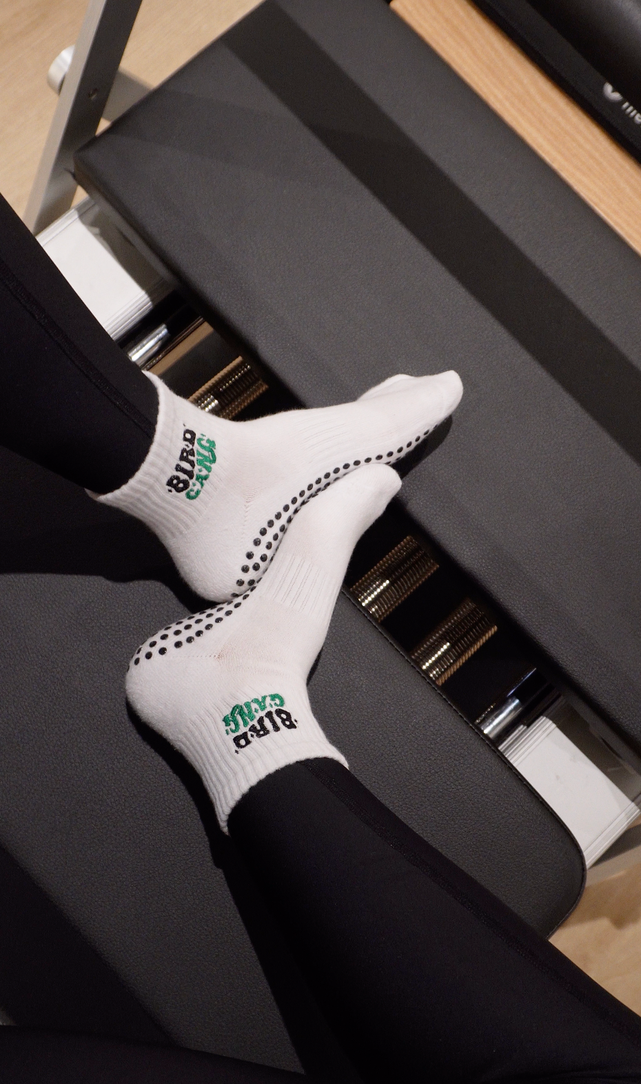 Bird Gang Grip Socks