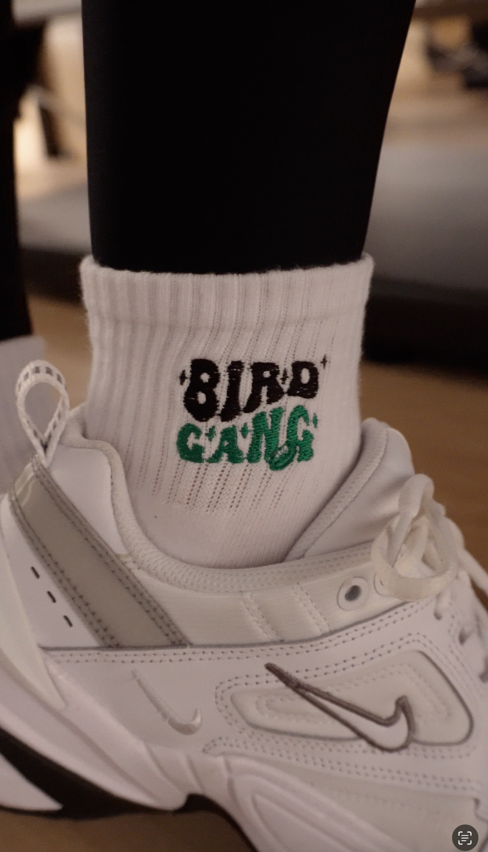 Bird Gang